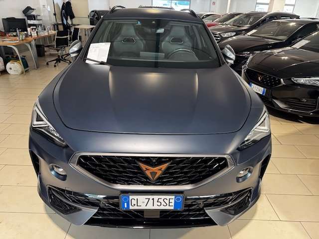 28e4bafa-61be-4e29-996e-f7ada2464b46_02.jpg