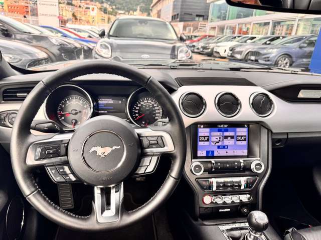 7d14e602-91f1-4cb3-9313-8fe031bfefce_12.jpg