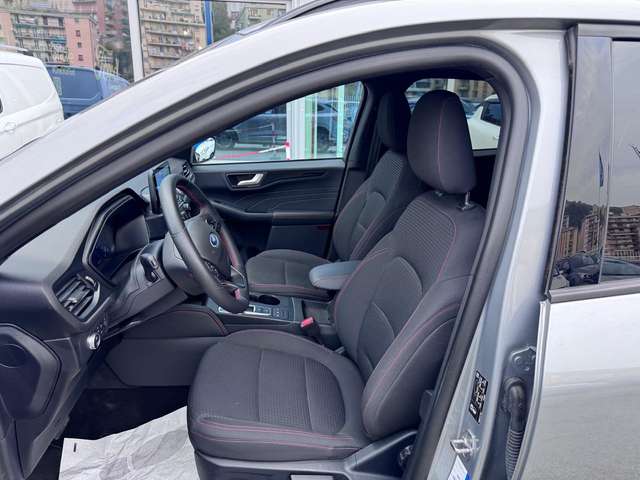 ddf50567-f3cf-45c7-be50-237f92a0dd7b_06.jpg ddf50567-f3cf-45c7-be50-237f92a0dd7b_06.jpg