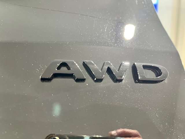 fad1ce82-f907-47cd-af13-5da25143c1fe_07.jpg fad1ce82-f907-47cd-af13-5da25143c1fe_07.jpg