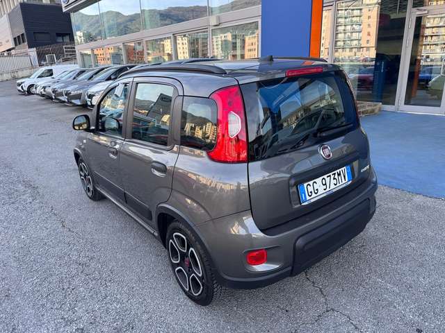 1e11a067-547f-435d-8cb9-3816c1abe3e5_04.jpg 1e11a067-547f-435d-8cb9-3816c1abe3e5_04.jpg