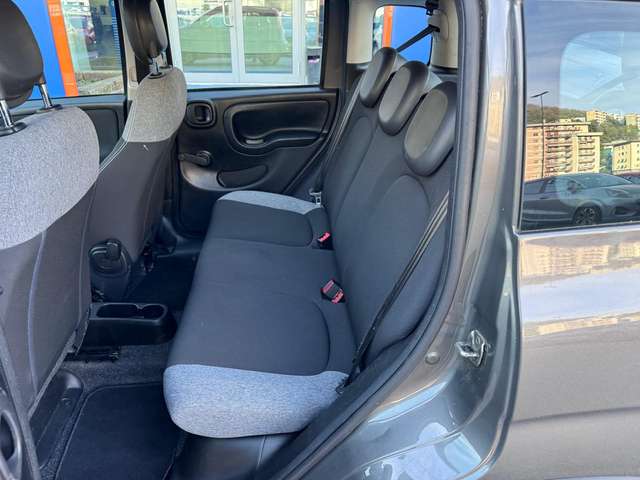 1e11a067-547f-435d-8cb9-3816c1abe3e5_05.jpg 1e11a067-547f-435d-8cb9-3816c1abe3e5_05.jpg