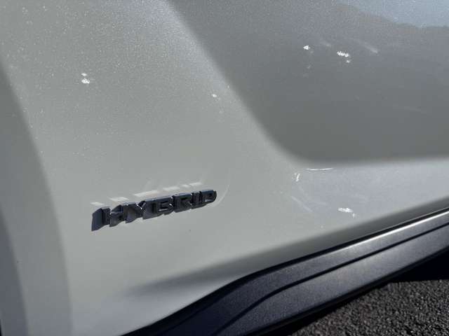 39ec81bf-48bd-4594-bd88-07d0fd57e96d_07.jpg 39ec81bf-48bd-4594-bd88-07d0fd57e96d_07.jpg