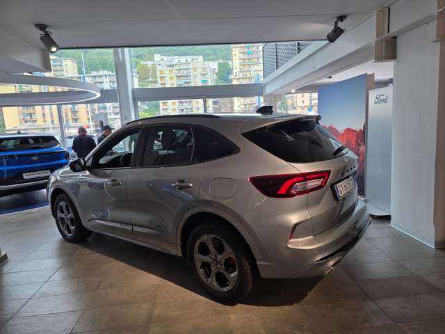 69d75af3-af2b-436e-bed4-c1ad65b9d9b9_09-6.jpg 69d75af3-af2b-436e-bed4-c1ad65b9d9b9_09-6.jpg