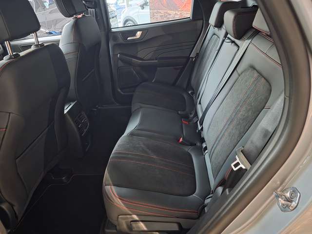 69d75af3-af2b-436e-bed4-c1ad65b9d9b9_13-1.jpg 69d75af3-af2b-436e-bed4-c1ad65b9d9b9_13-1.jpg