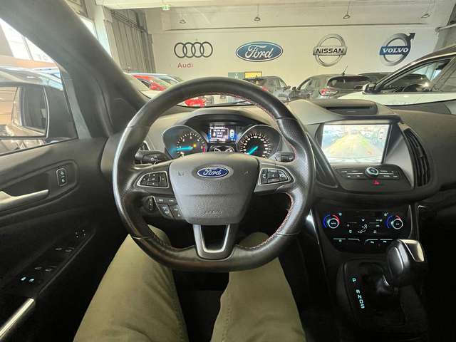 5d02e81c-20fb-4928-b398-73edb2fef1df_06.jpg